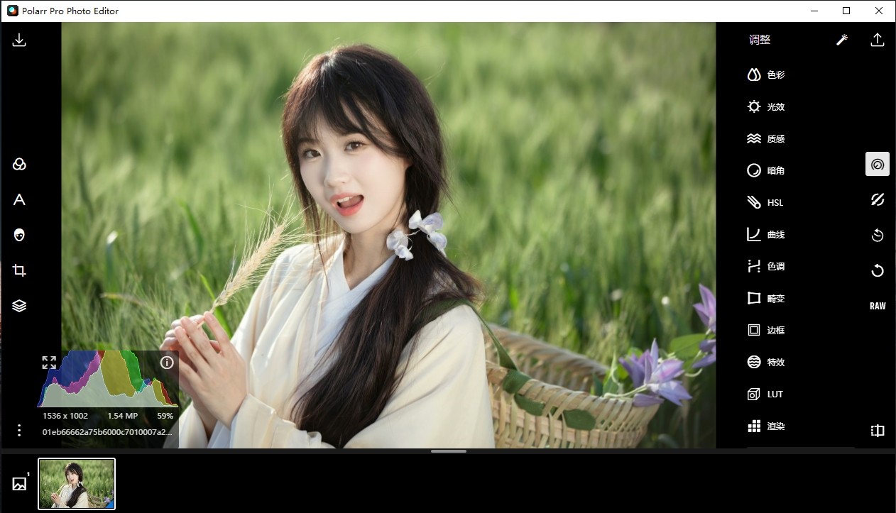Polarr Photo Editor Pro v5.11.8破解版,电脑端照片编辑工具