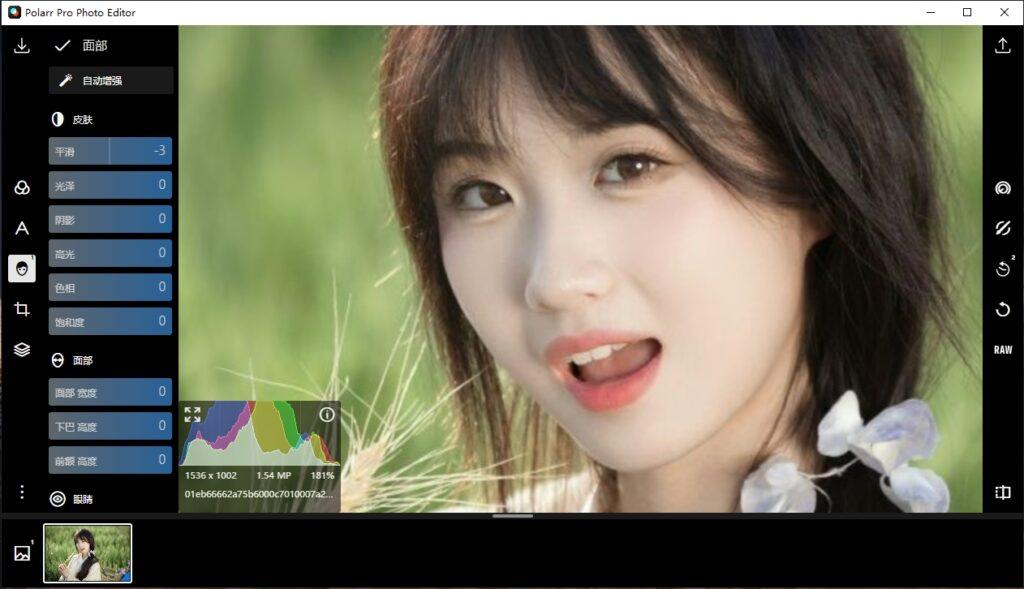 Polarr Photo Editor Pro v5.11.8破解版，电脑端照片编辑工具