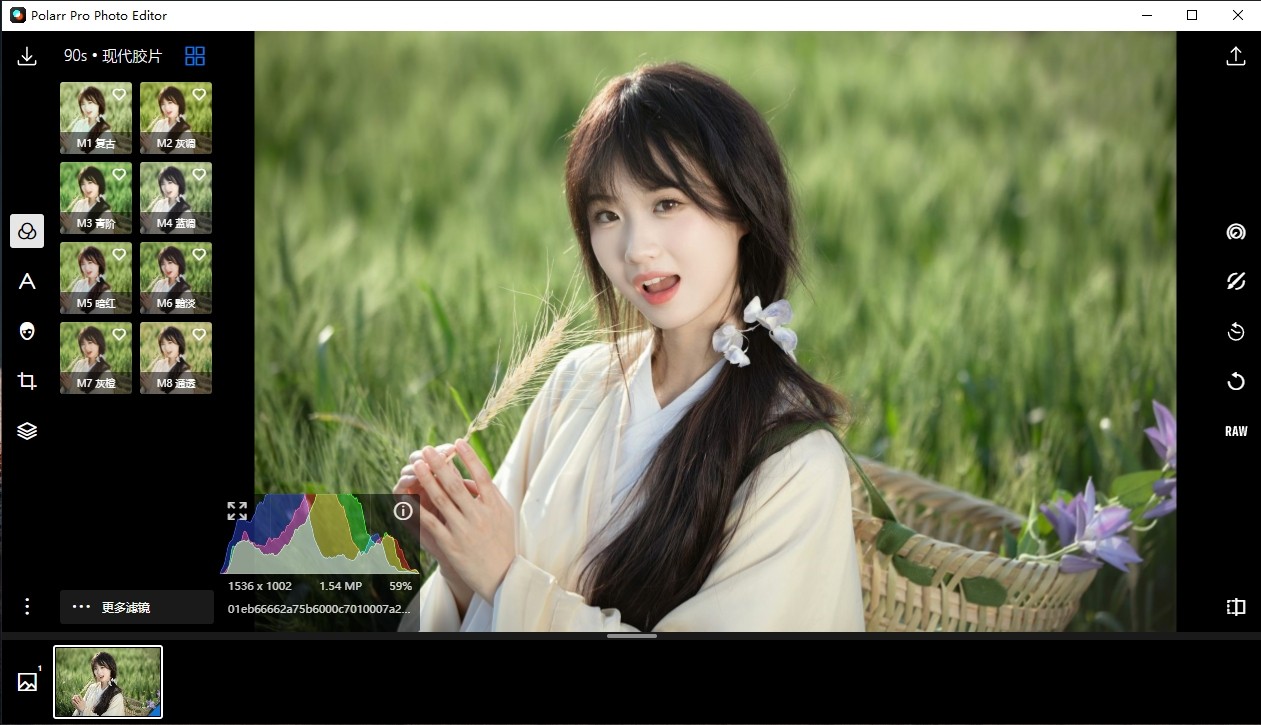 Polarr Photo Editor Pro v5.11.8破解版，电脑端照片编辑工具
