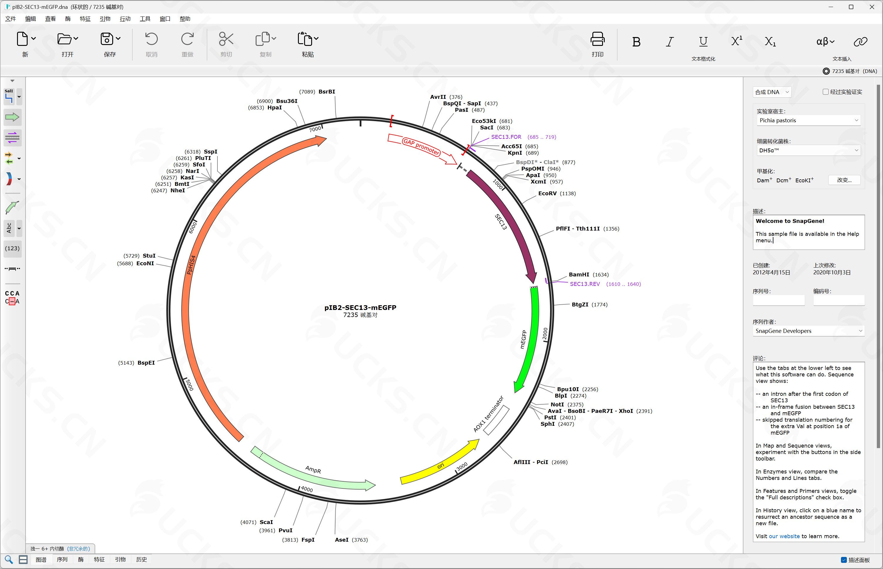 图片[1]-SnapGene v6.2.2中文破解版，分子生物学研究的强大可视化工具-ucks