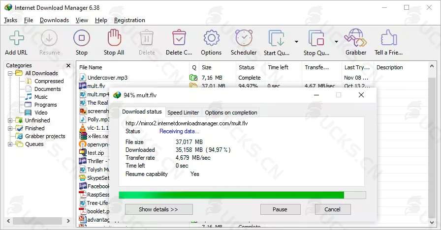Internet Download Manager 主界面截图