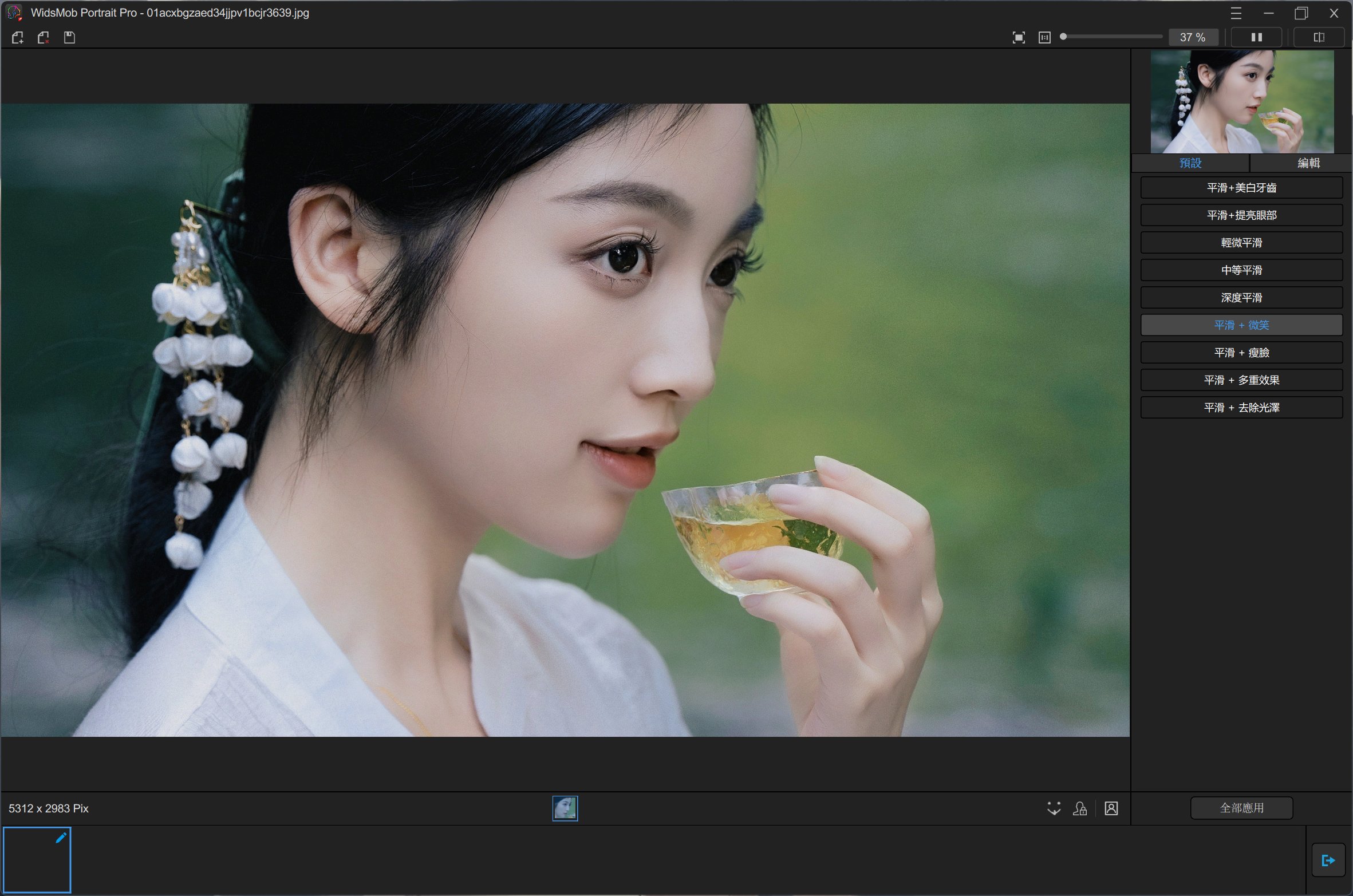 WidsMob Portrait Pro v2.2.0.210破解版,强大的智能人像照片处理工具,照片修图神器