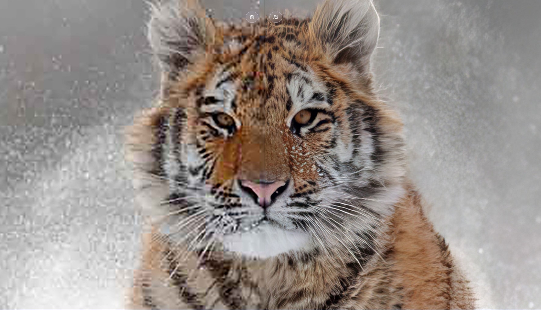 Topaz Photo AI v3.0.1 中文汉化破解版,人工智能照片无损放大/锐化/降噪